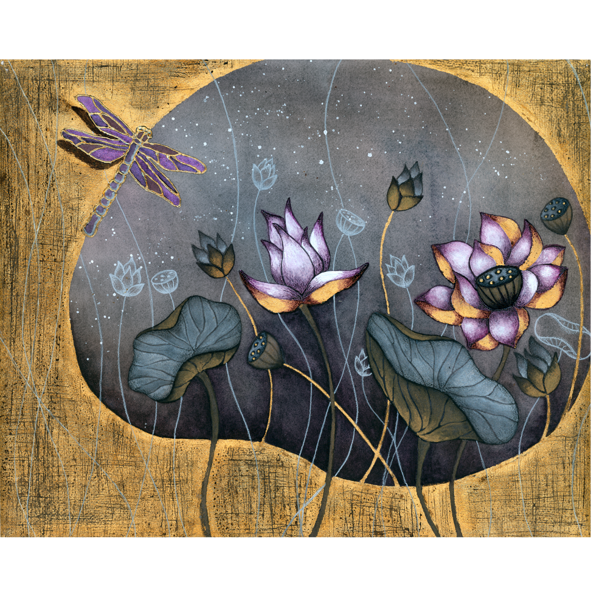 Dragonfly Dreams